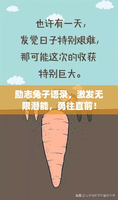 励志兔子语录，激发无限潜能，勇往直前！