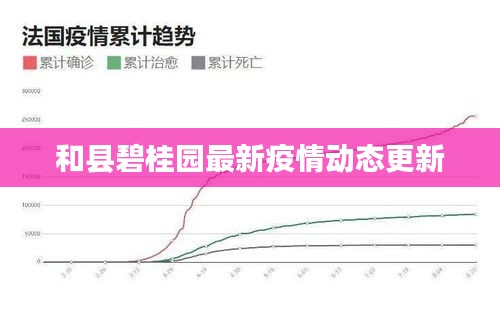 和县碧桂园最新疫情动态更新