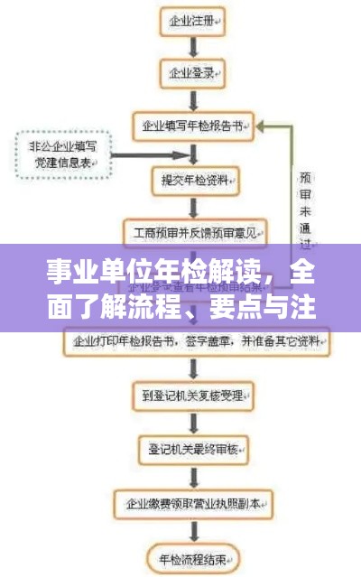 事业单位年检解读，全面了解流程、要点与注意事项