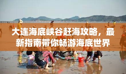 大连海底峡谷赶海攻略，最新指南带你畅游海底世界！