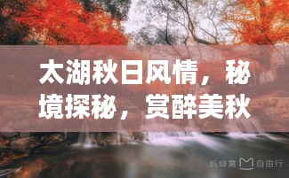 太湖秋日风情，秘境探秘，赏醉美秋色攻略