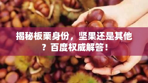 揭秘板栗身份，坚果还是其他？百度权威解答！