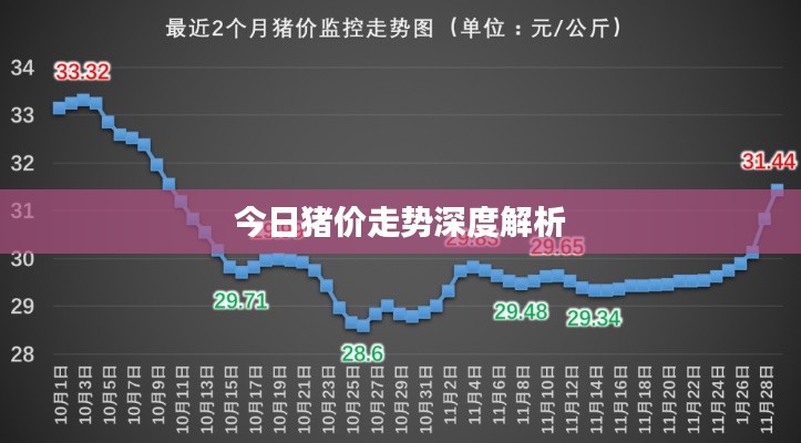 今日猪价走势深度解析