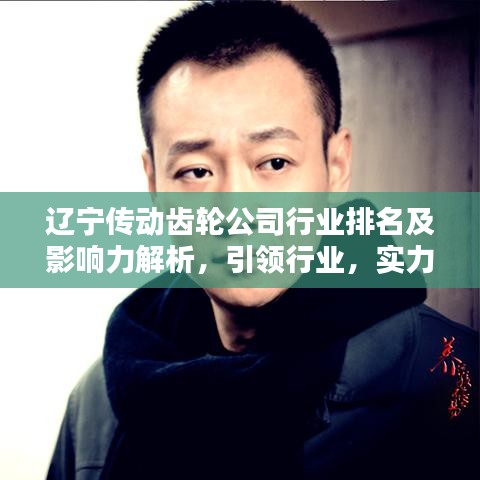 辽宁传动齿轮公司行业排名及影响力解析，引领行业，实力瞩目！