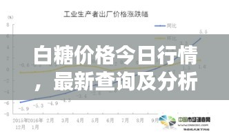 白糖价格今日行情，最新查询及分析报告