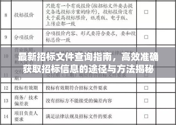 最新招标文件查询指南，高效准确获取招标信息的途径与方法揭秘