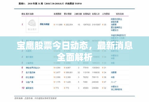 宝鹰股票今日动态，最新消息全面解析