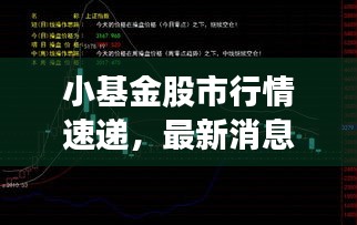 小基金股市行情速递，最新消息与走势分析