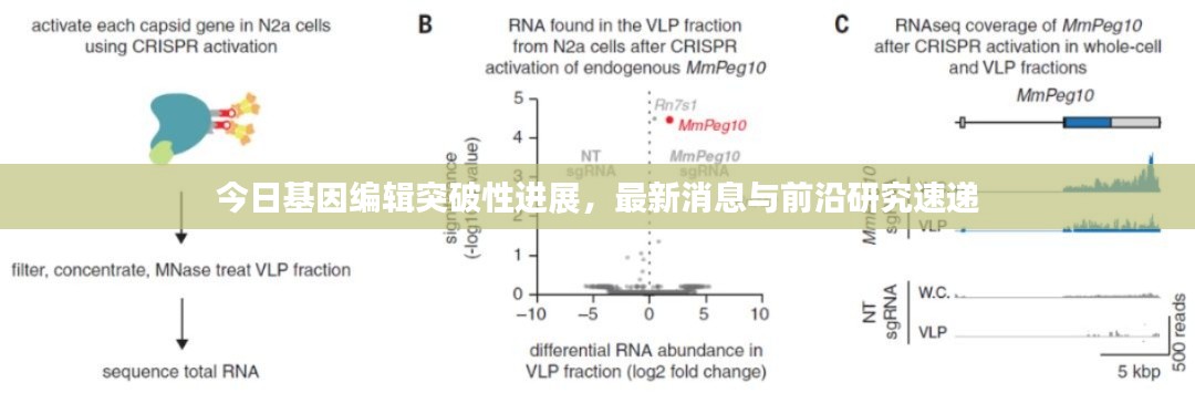 今日基因编辑突破性进展，最新消息与前沿研究速递