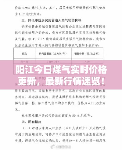 阳江今日煤气实时价格更新，最新行情速览！