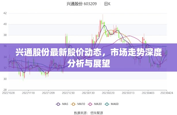 兴通股份最新股价动态，市场走势深度分析与展望