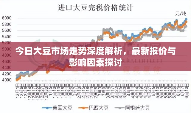 今日大豆市场走势深度解析，最新报价与影响因素探讨