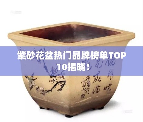 紫砂花盆热门品牌榜单TOP 10揭晓！