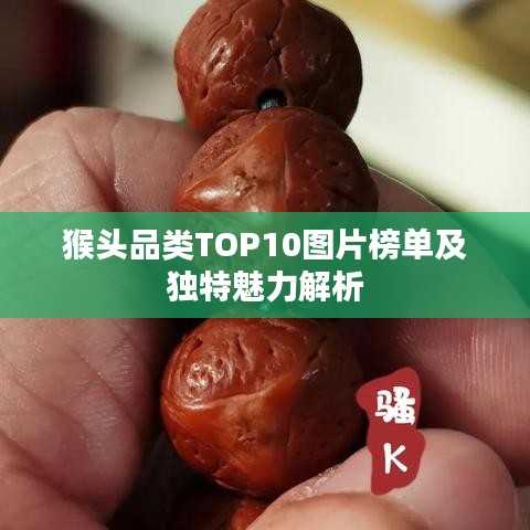 猴头品类TOP10图片榜单及独特魅力解析