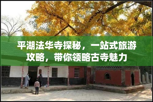 平湖法华寺探秘，一站式旅游攻略，带你领略古寺魅力