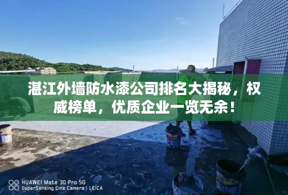 湛江外墙防水漆公司排名大揭秘，权威榜单，优质企业一览无余！