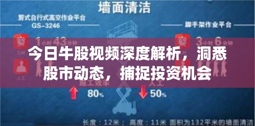 今日牛股视频深度解析，洞悉股市动态，捕捉投资机会