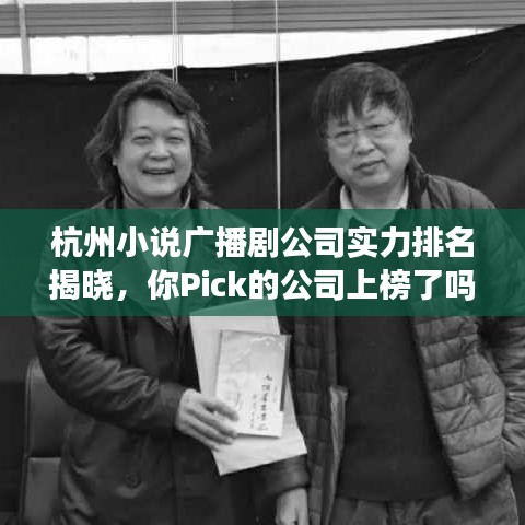 杭州小说广播剧公司实力排名揭晓，你Pick的公司上榜了吗？