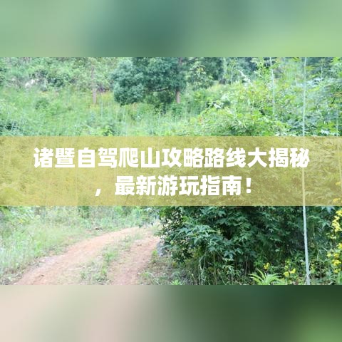 诸暨自驾爬山攻略路线大揭秘，最新游玩指南！