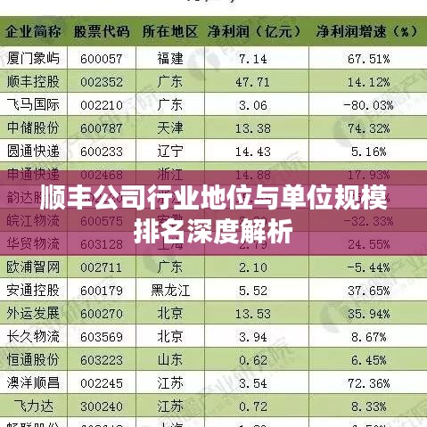 顺丰公司行业地位与单位规模排名深度解析