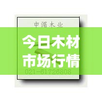 今日木材市场行情解析，最新木方价格表及市场动态速递