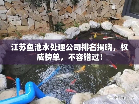 江苏鱼池水处理公司排名揭晓，权威榜单，不容错过！