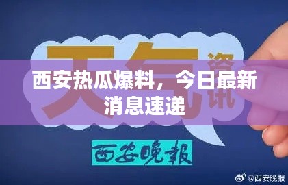 西安热瓜爆料，今日最新消息速递