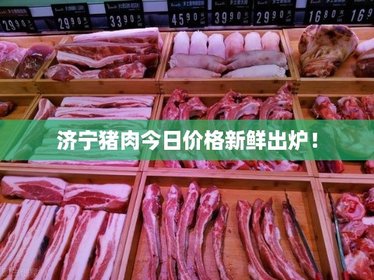 济宁猪肉今日价格新鲜出炉！