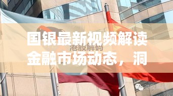 国银最新视频解读金融市场动态，洞悉今日金融趋势