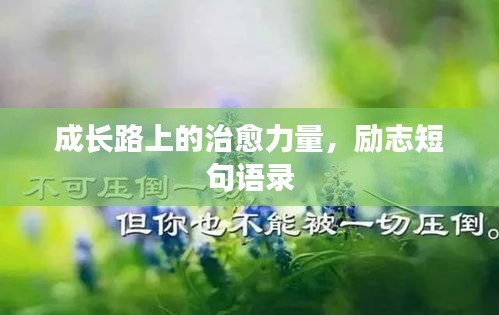 成长路上的治愈力量，励志短句语录