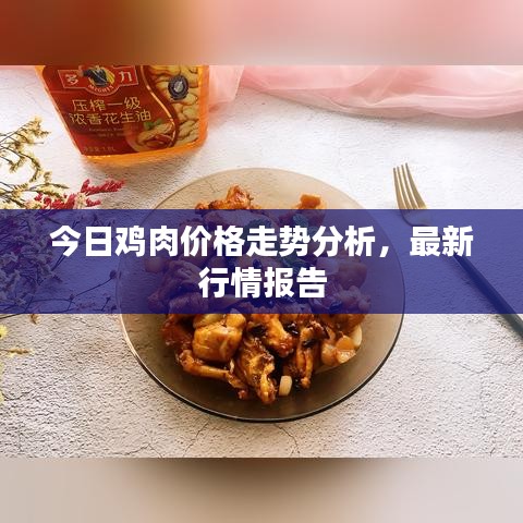 今日鸡肉价格走势分析，最新行情报告