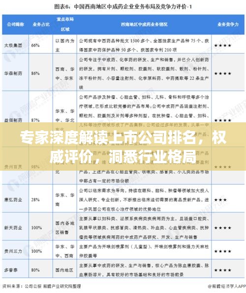 专家深度解读上市公司排名，权威评价，洞悉行业格局