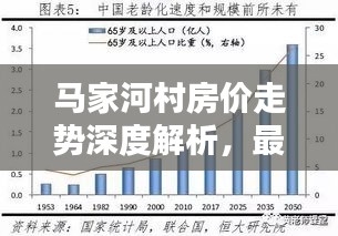 马家河村房价走势深度解析，最新报告揭示未来趋势