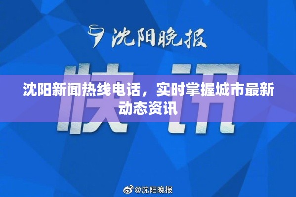 沈阳新闻热线电话，实时掌握城市最新动态资讯