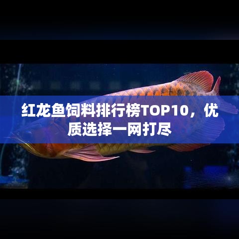 红龙鱼饲料排行榜TOP10，优质选择一网打尽