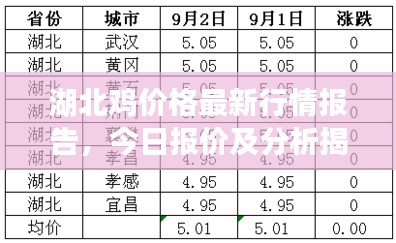 湖北鸡价格最新行情报告，今日报价及分析揭秘