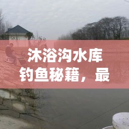 沐浴沟水库钓鱼秘籍，最新攻略全解析