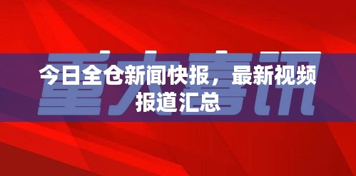 今日全仓新闻快报，最新视频报道汇总