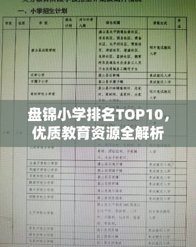 盘锦小学排名TOP10，优质教育资源全解析