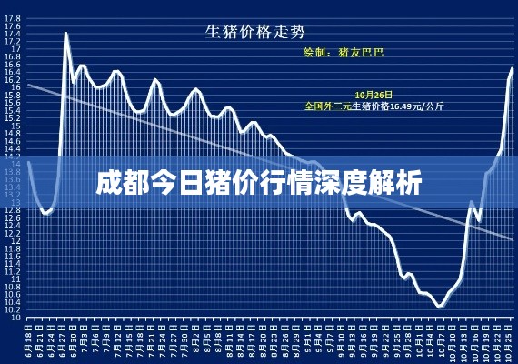 成都今日猪价行情深度解析