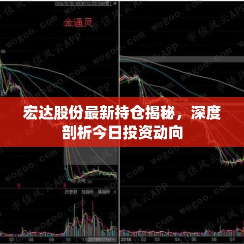 宏达股份最新持仓揭秘，深度剖析今日投资动向