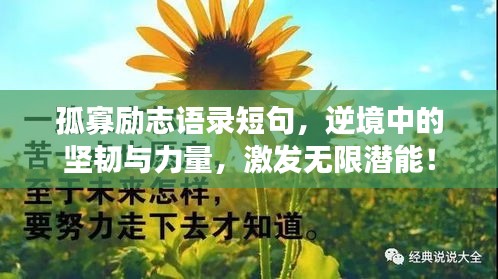 孤寡励志语录短句，逆境中的坚韧与力量，激发无限潜能！