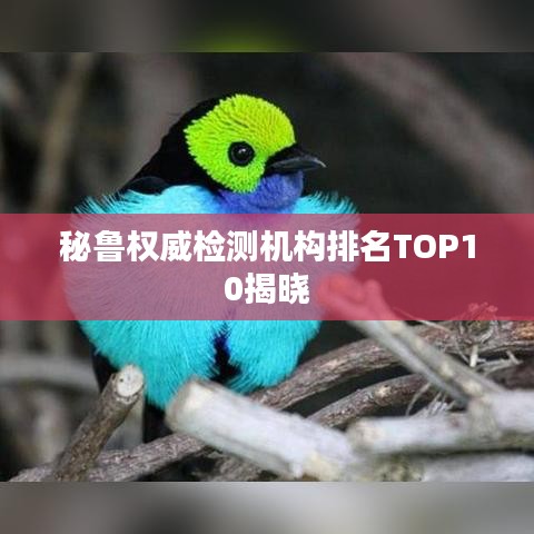 秘鲁权威检测机构排名TOP10揭晓