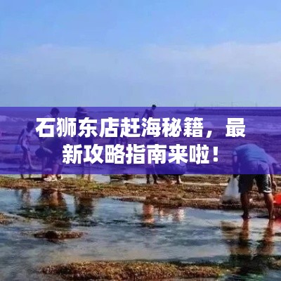 石狮东店赶海秘籍，最新攻略指南来啦！