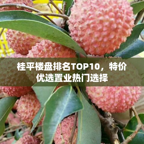 桂平楼盘排名TOP10，特价优选置业热门选择