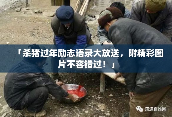 「杀猪过年励志语录大放送，附精彩图片不容错过！」