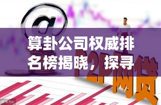 算卦公司权威排名榜揭晓，探寻预测未来的智慧领航者