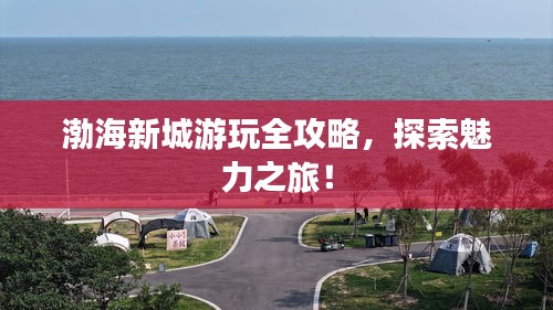 渤海新城游玩全攻略，探索魅力之旅！