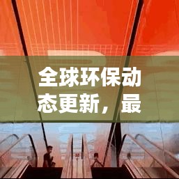 全球环保动态更新，最新头条新闻与热点解析