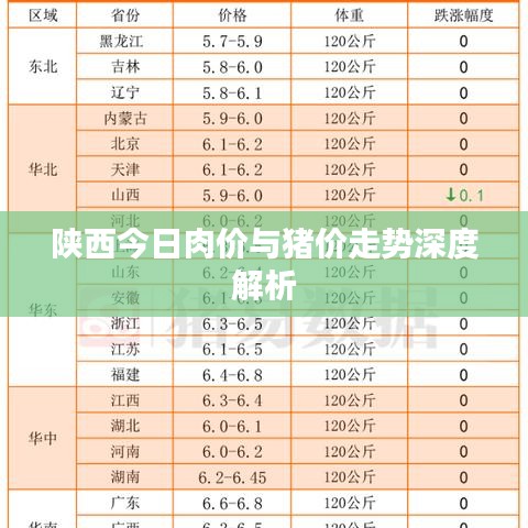 陕西今日肉价与猪价走势深度解析